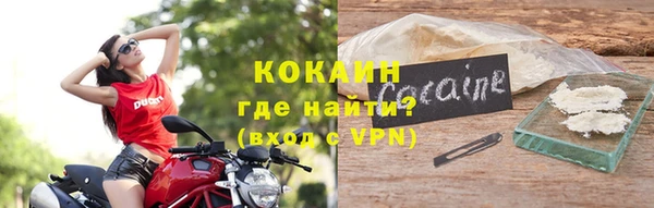 шишки Медногорск