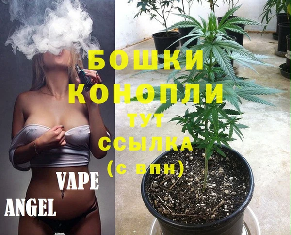 стаф Мегион