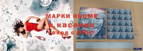 шишки Медногорск