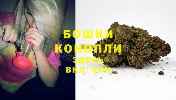 стаф Мегион