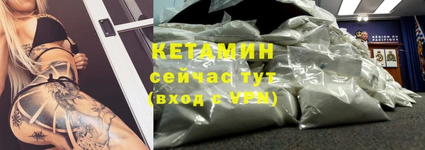 дмт Бородино