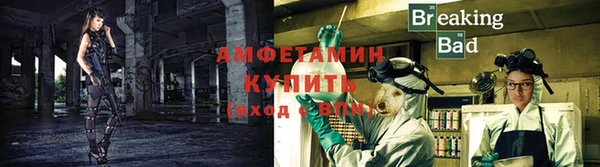шишки Медногорск