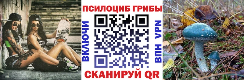 Псилоцибиновые грибы Magic Shrooms  Буй 